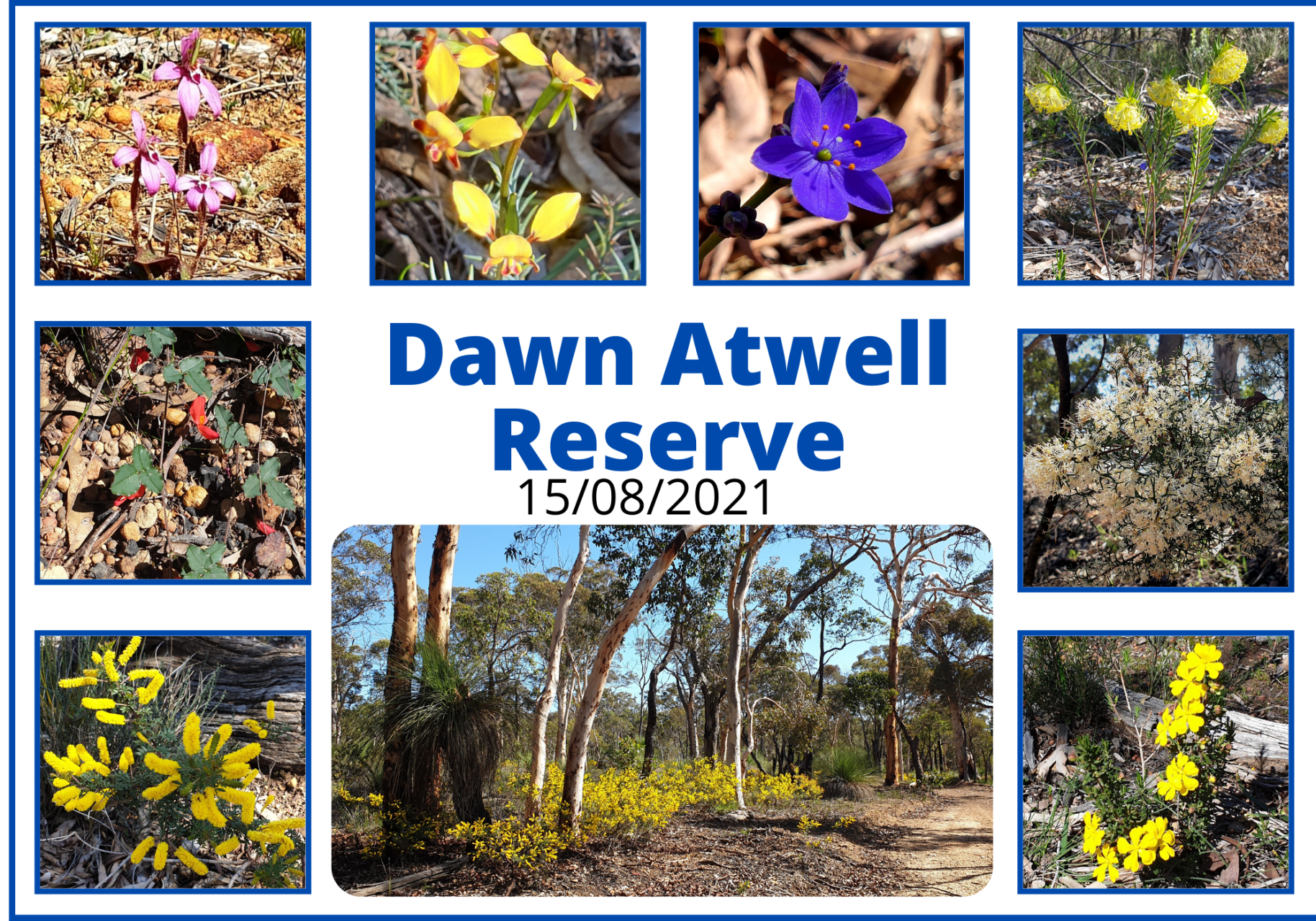 Dawn Atwell Reserve Aug 21