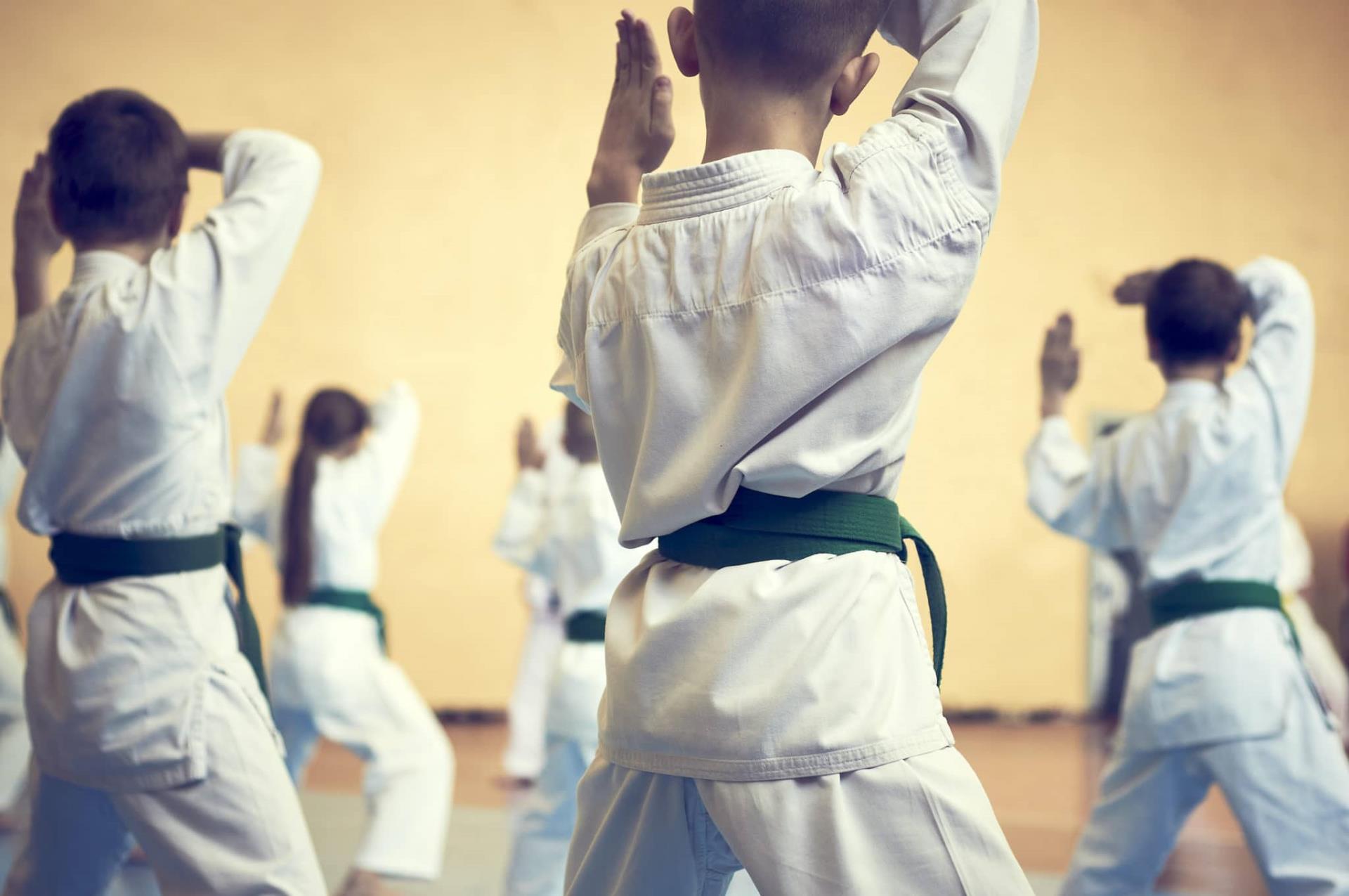 Sandalwood Martial Arts: News and Notices