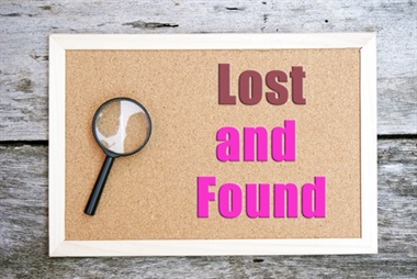 Lost and found animals Image