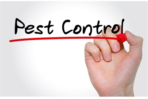 Controlling Pests Image