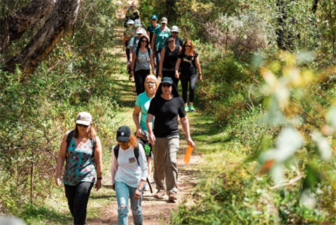 Hike-Collective-Website-pic.png