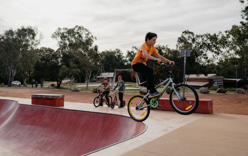 Duidgee-Park-Skate-Park.png
