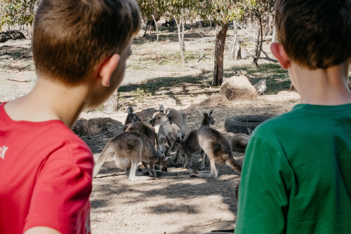 Roos-at-Sues.png