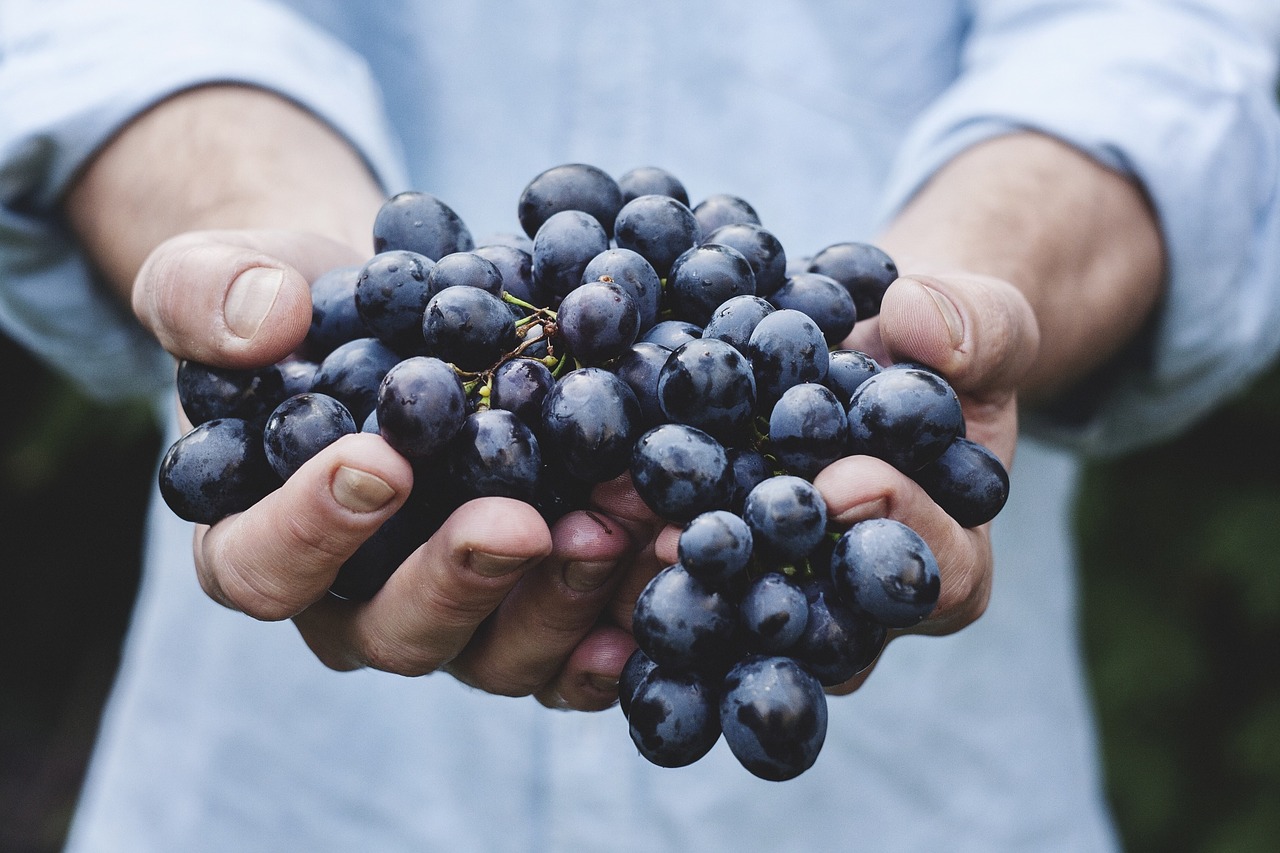 holding grapes image.jpg