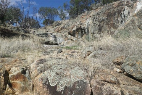 Balgaling Reserve Image