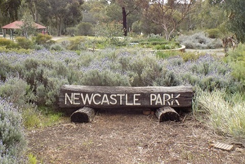 Newcastle Park Image