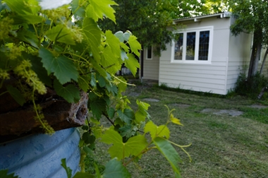 Granny flats and ancillary dwellings Image