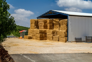 Sheds and outbuildings 