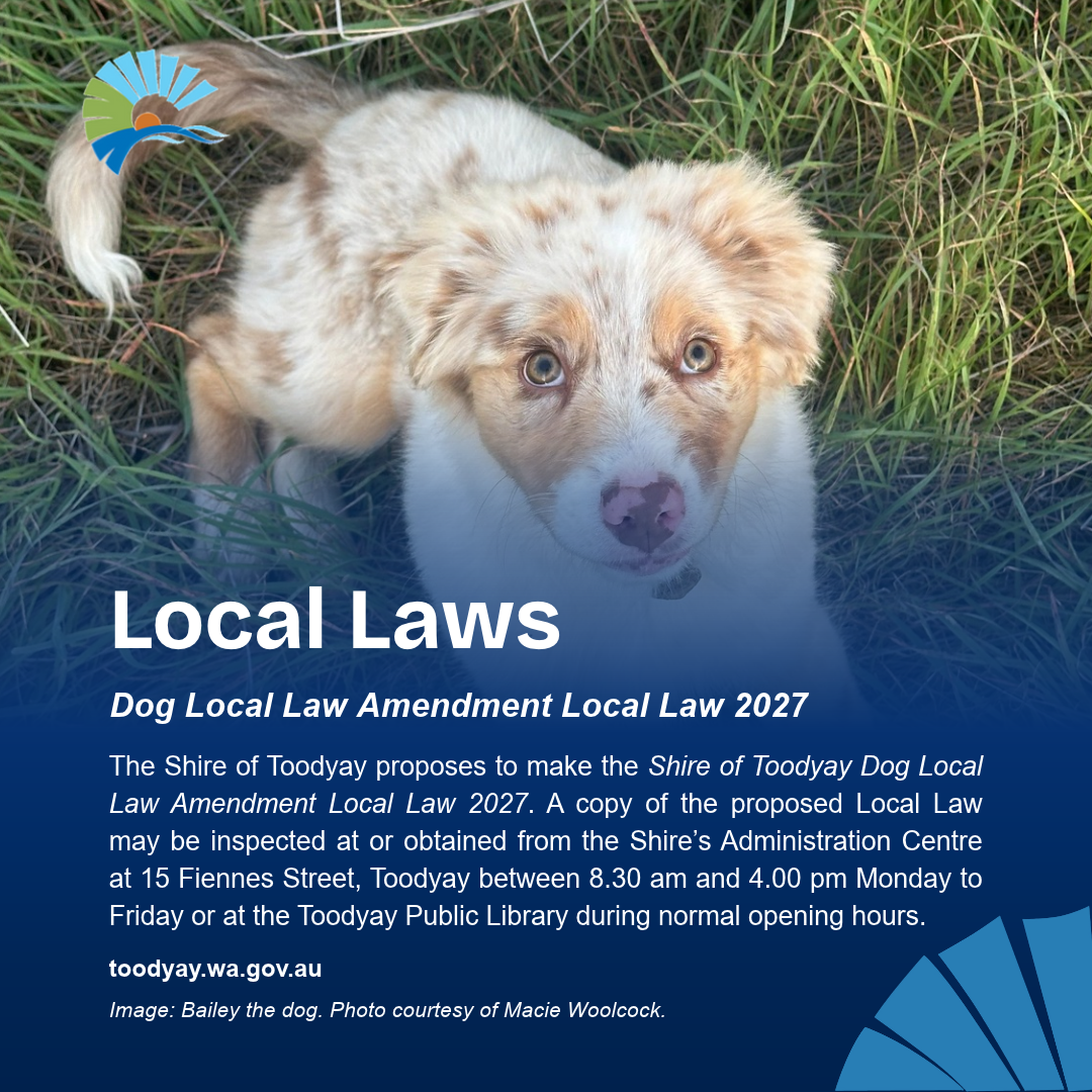 Shire of Toodyay Dog Local Law Amendment Local Law 2027