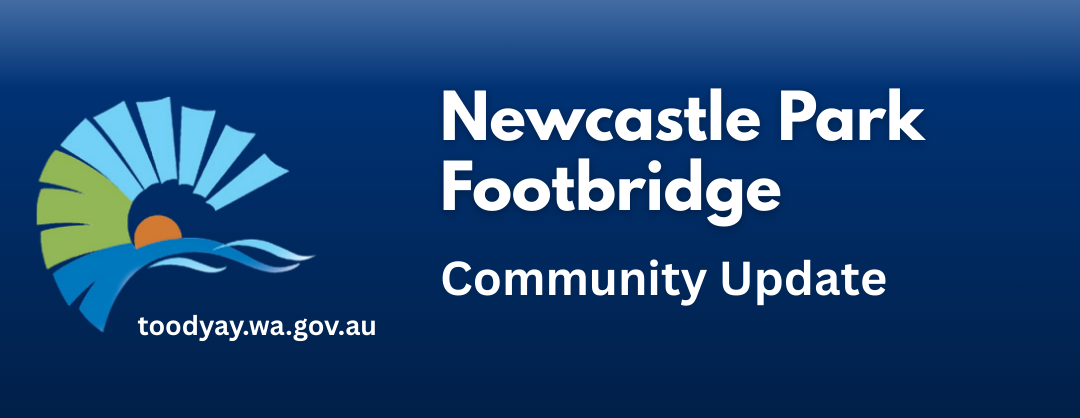 Newcastle Park Footbridge Update