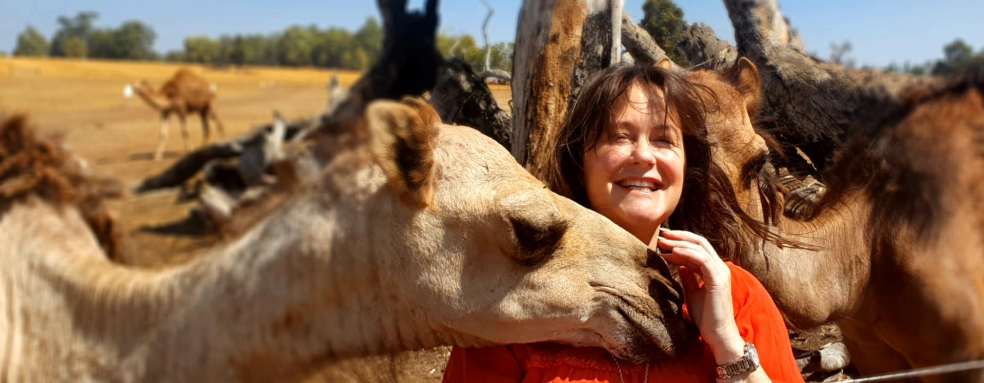 Camel-ccino anyone?