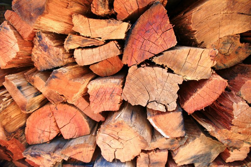 Notification – Firewood Collection Not Permitted Within the Shire of