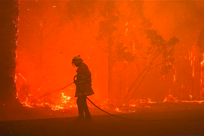 15 Minutes That Could Save Your Life: Make Your Bushfire Plan Today