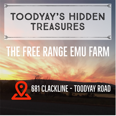 Toodyay's Hidden Treasures - The Free Range Emu Farm
