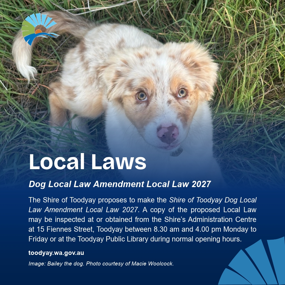 Dog Local Law Amendment Local Law 2027 Image